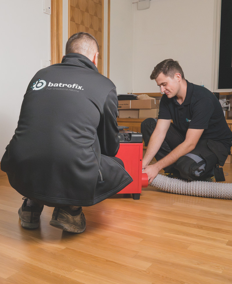 Batrofix service 4 OK